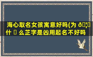 海心取名女孩寓意好吗(为 🦋 什 ☘ 么芷字是凶用起名不好吗)